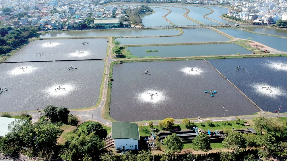 Khu vực xử lý nước thải tại Nhà máy Bình Hưng Hòa. Ảnh: THÀNH TRÍ