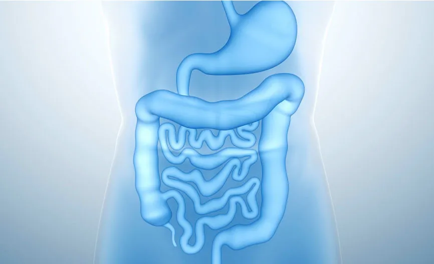 Similac bổ sung HMO - Cải tiến được vinh danh ở Hoa Kỳ đã có mặt tại Việt Nam ảnh 1