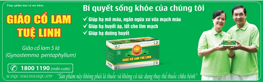 Giảo cổ lam - thảo dược thần kỳ giúp đẩy lùi tiểu đường, mỡ máu, cao huyết áp ảnh 1