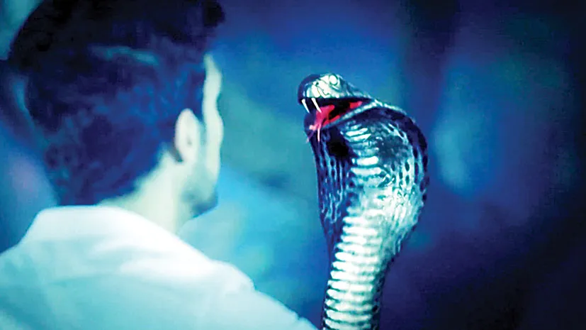 Tình người kiếp rắn