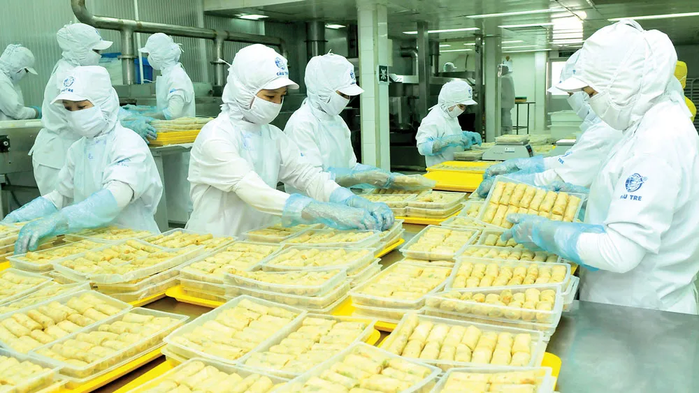 Chế biến chả giò tại Công ty CJ Cầu Tre, TPHCM. Ảnh: CAO THĂNG