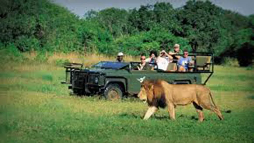 Nam Phi khuyến khích du khách quốc tế