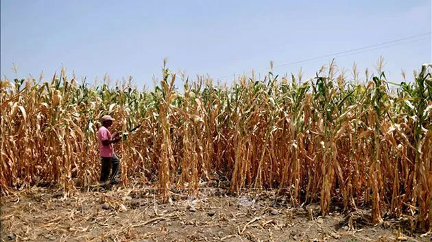 Dự án môi trường tại Vành đai khô hạn El Salvador