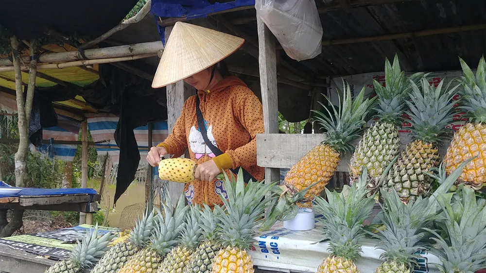 Khóm Tắc Cậu, đặc sản của Kiên Giang. Ảnh: PHAN THANH