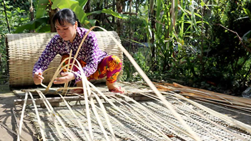 Người dân Long Trị (Long Mỹ, Hậu Giang) quyết giữ nghề đan mê bồ truyền thống. Ảnh: MỸ XUYÊN