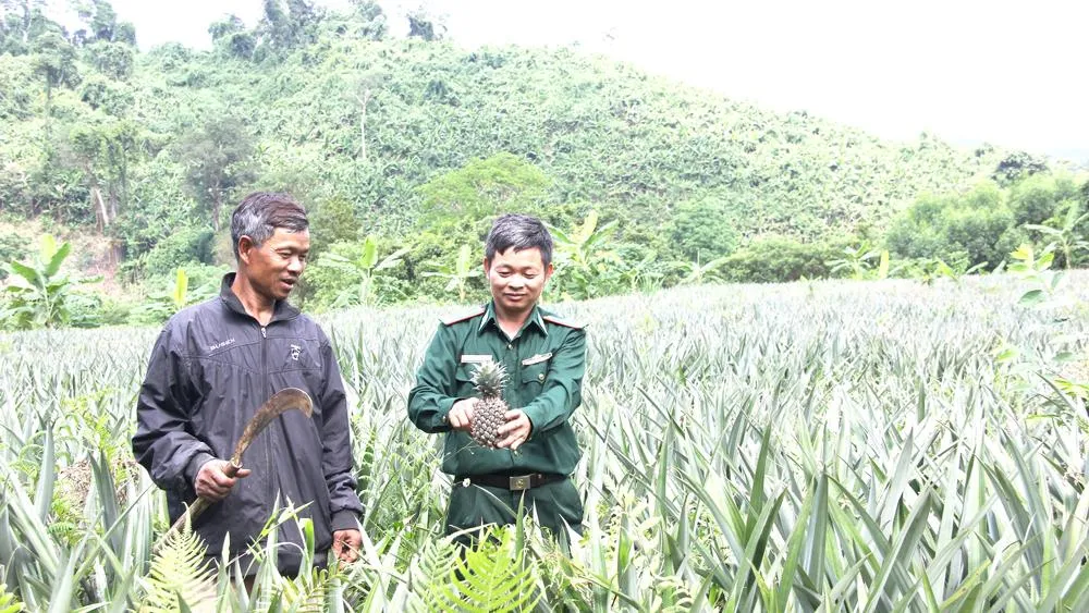 Bộ đội Biên phòng hướng dẫn đồng bào Pa Cô, Vân Kiều ở bản Trung Đoàn, Làng Ho, một trọng điểm trên đường Trường Sơn năm xưa chăm sóc thơm trồng thí điểm