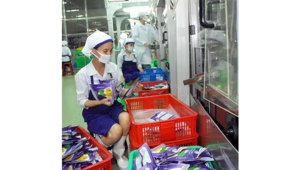 Chế biến mít xuất khẩu tại một đơn vị. Ảnh: THÀNH TRÍ