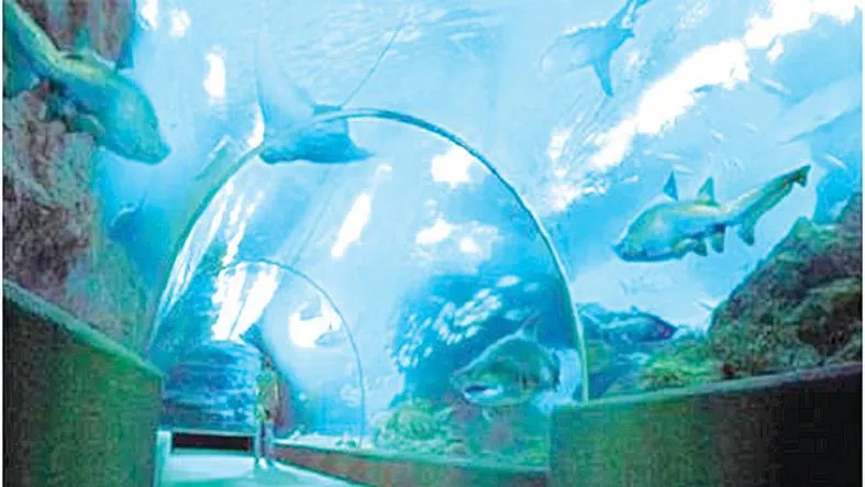 Công viên thủy cung cao nhất thế giới