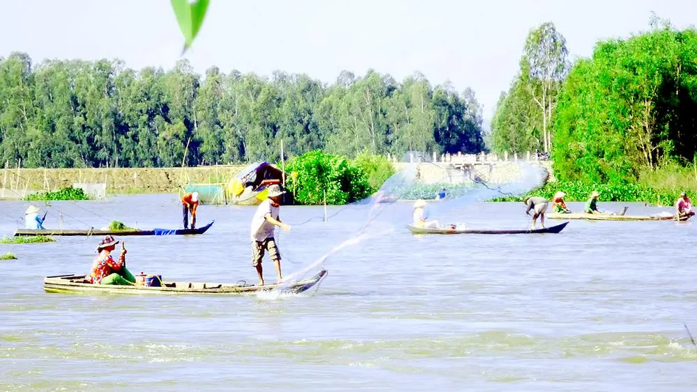 Lũ về góp phần tạo sinh kế cho nông dân ĐBSCL