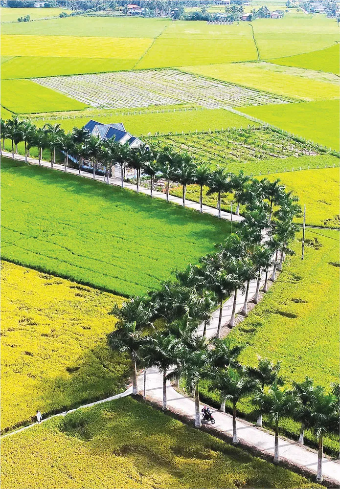 Long An xây dựng nông thôn mới với khí thế mới