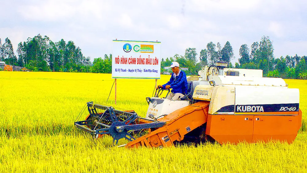 Mô hình cánh đồng mẫu lớn tại ĐBSCL tạo điều kiện thuận lợi để nông dân cơ giới hóa - mang lại nhiều hiệu quả. Ảnh: CAO PHONG
