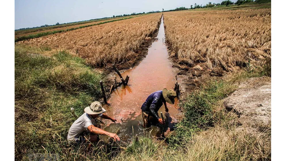Ảnh minh họa: VGP