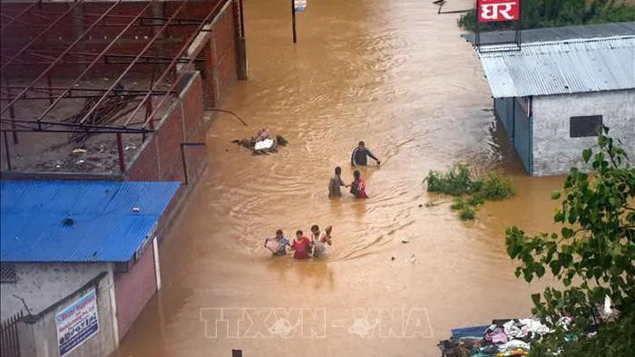 Ảnh minh họa: TTXVN