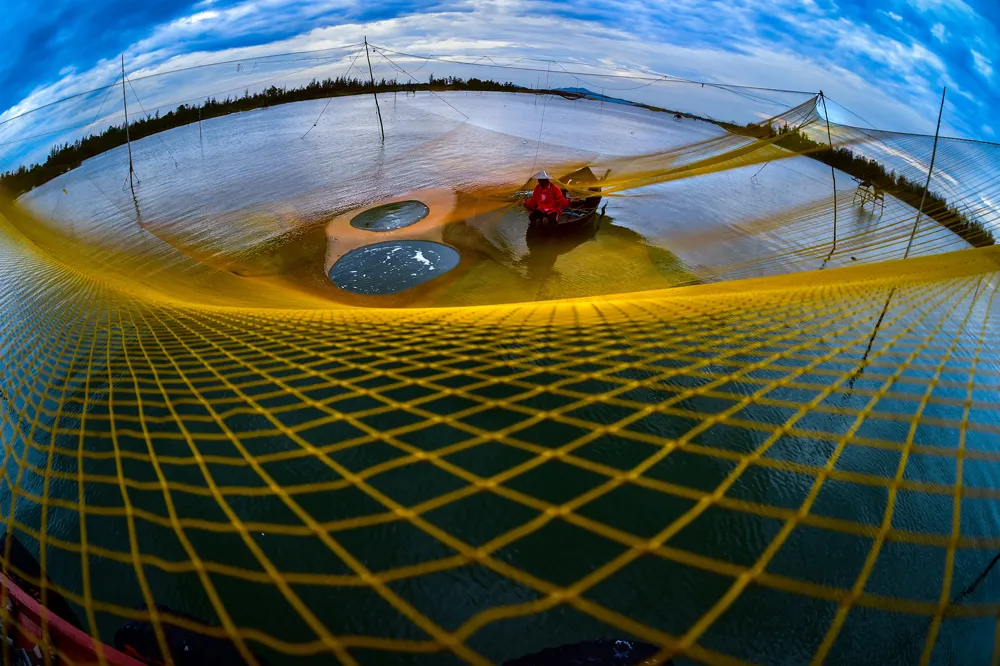 Lung linh sắc màu cuộc sống ảnh 3