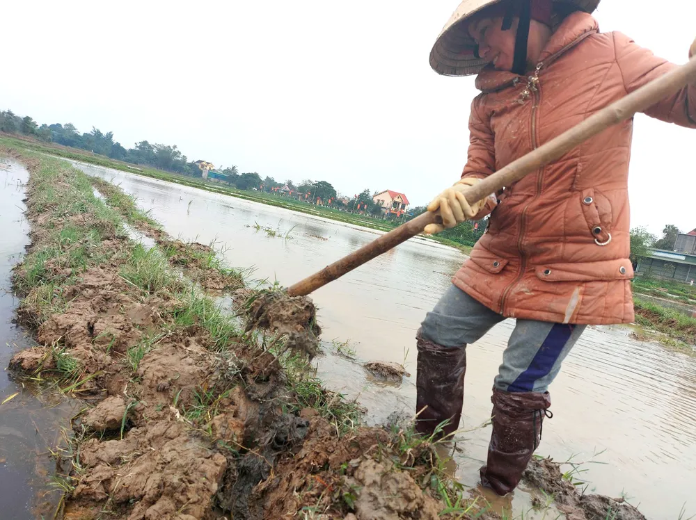 Chống chọi với giá rét ảnh 2