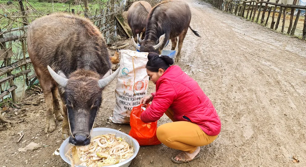 Chống chọi với giá rét ảnh 3