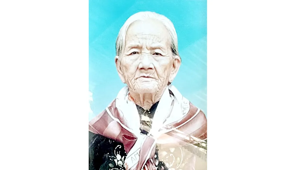 Bà Mẹ Việt Nam anh hùng HÀ THỊ BỨC từ trần