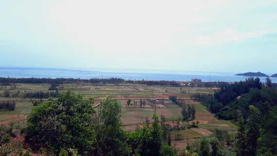 Phục hồi rừng ở ven biển góp phần tạo lá chắn xanh bảo vệ cuộc sống người dân. Ảnh minh họa: DƯƠNG QUANG