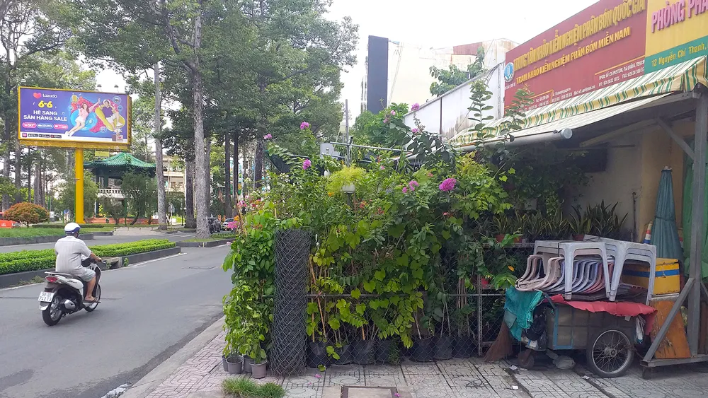 Rào kín vỉa hè để kinh doanh cây cảnh