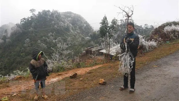 Ảnh minh họa: TTXVN