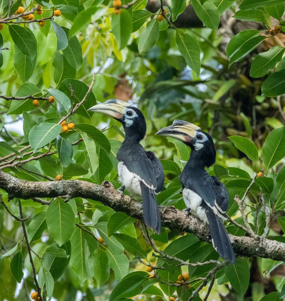 Phản hồi bài viết “Băn khoăn vị trí dự kiến xây cầu Mã Đà”: Hoàn thiện các căn cứ pháp lý ảnh 1