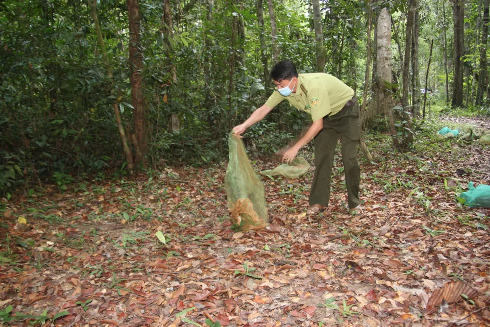 Nghiên cứu kỹ phương án xây dựng cầu Mã Đà ảnh 1