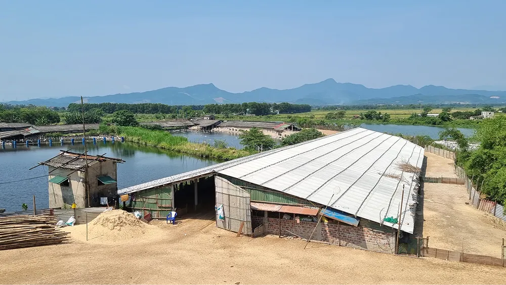 Đê lấn chiếm sông Lũy Thầy khiến 2/3 dòng sông bị chặn