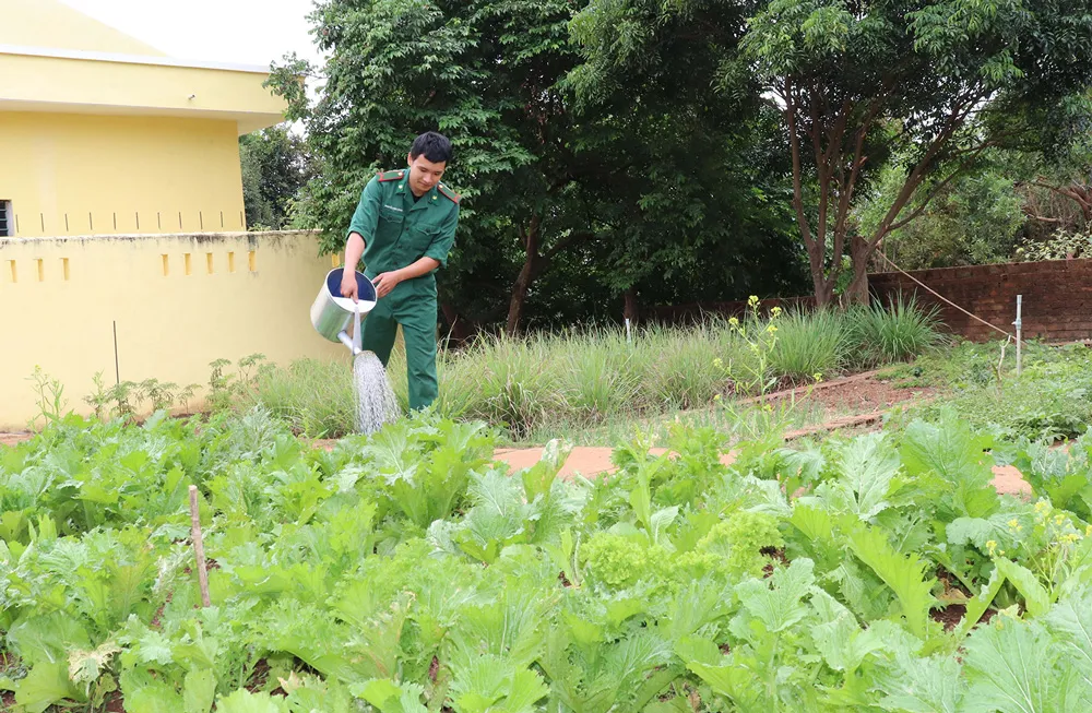 Chăm sóc vườn rau xanh là nhiệm vụ hàng ngày của chiến sĩ Đồn Biên phòng IaO