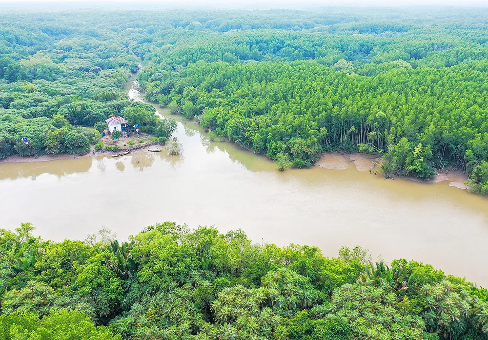 Rừng ngập mặn Cần Giờ - “lá phổi xanh” của TPHCM. Ảnh: HOÀNG HÙNG Rừng ngập mặn Cần Giờ - “lá phổi xanh” của TPHCM. Ảnh: HOÀNG HÙNG