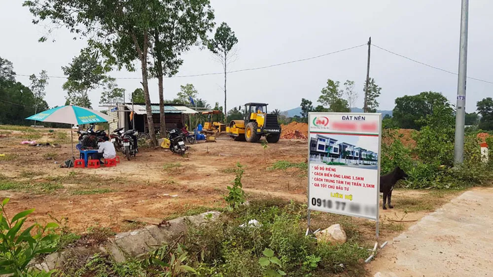 Đất rừng ở xã Gành Dầu (TP Phú Quốc) bị phân lô bán nền tràn lan vào cuối năm 2018. Ảnh: QUỐC BÌNH