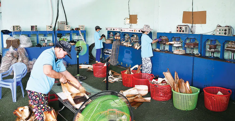 Phân loại, cắt, ép nhiệt tạo hình cho sản phẩm