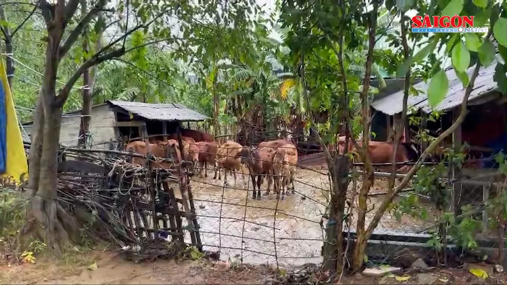 Ảnh cắt từ clip