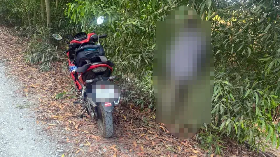 treo co ben duong.jpg