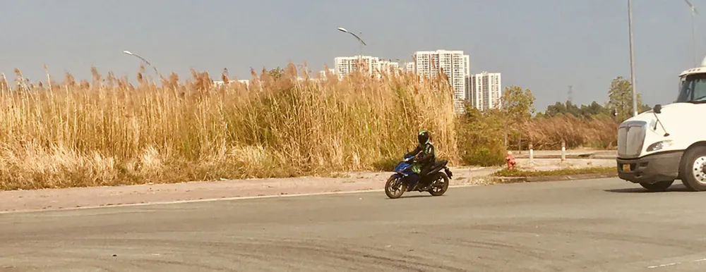 nang nong chay co.jpg