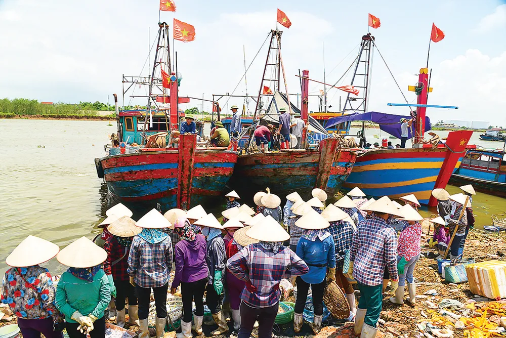 Mưu sinh bến cá trưa ảnh 2