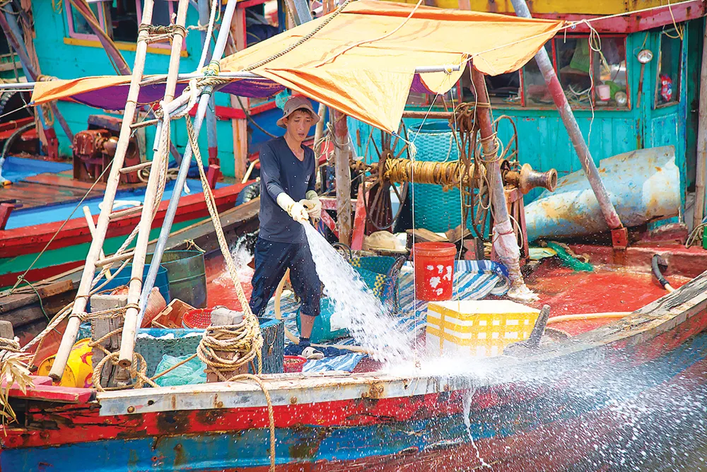 Mưu sinh bến cá trưa ảnh 6