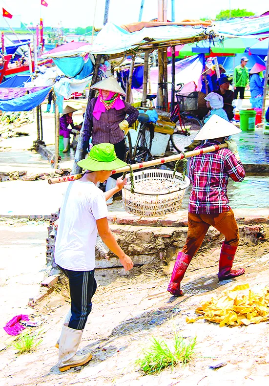 Mưu sinh bến cá trưa ảnh 5