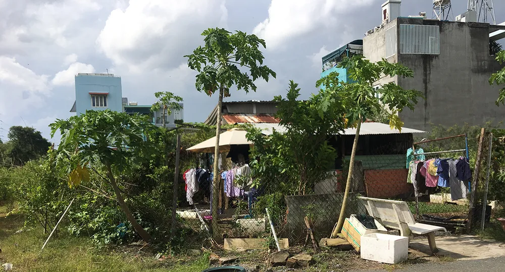 Văn bản hướng dẫn có như không ảnh 1