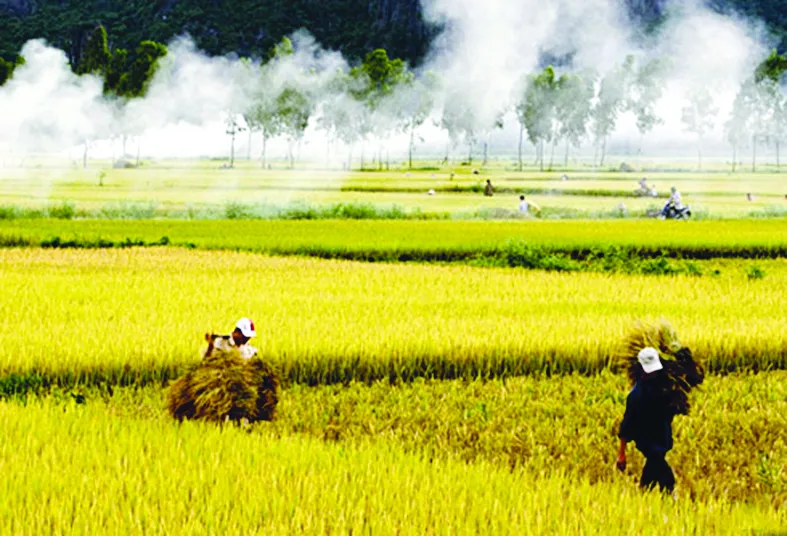 Nhớ khói đốt đồng cay mắt