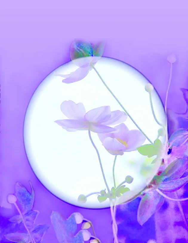 Riêng gửi Cửu Long