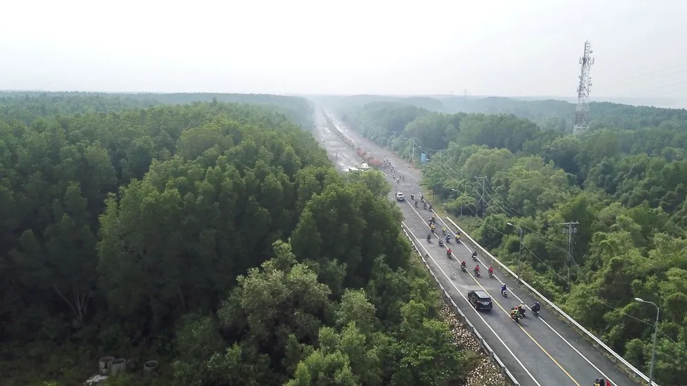 Sức sống Cần Giờ ảnh 2