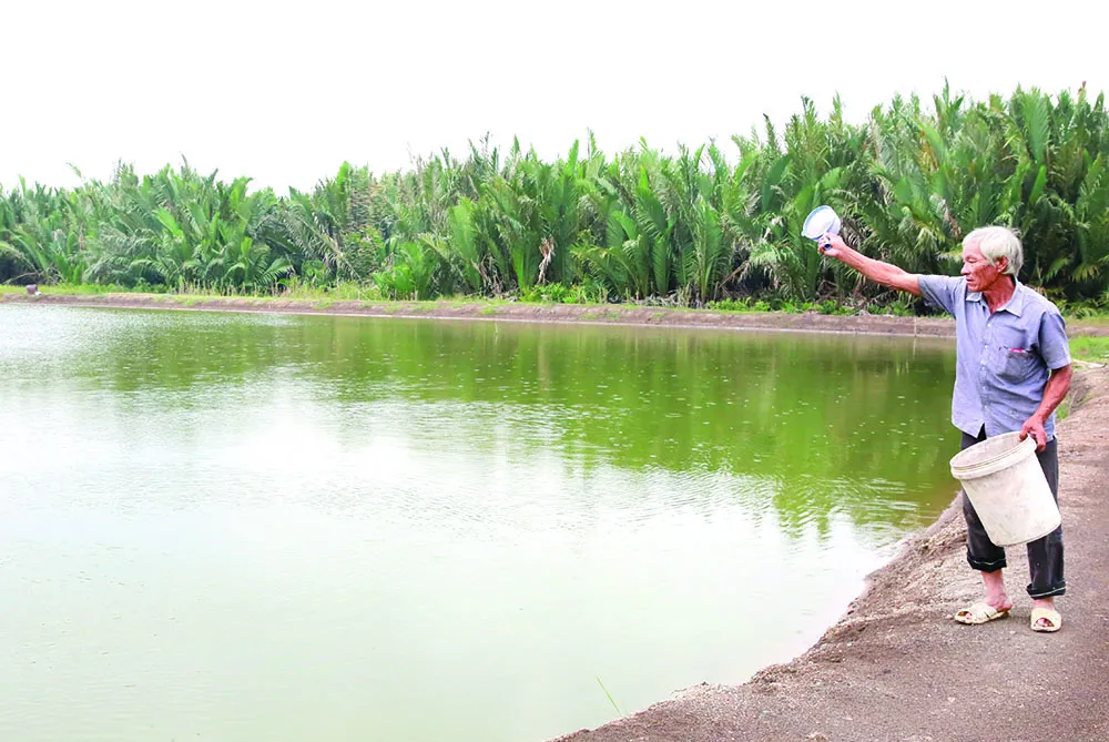 San sẻ mùa Xuân  ảnh 3