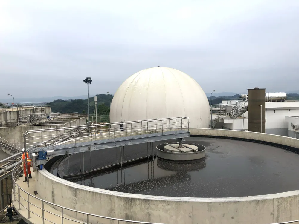 Tiên phong ứng dụng công nghệ chăn nuôi ảnh 1