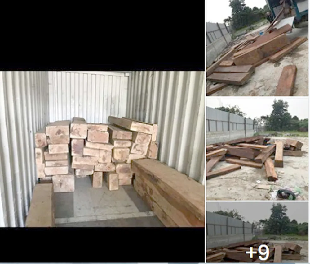 Ngang nhiên mua bán trái phép gỗ quý hiếm ảnh 1