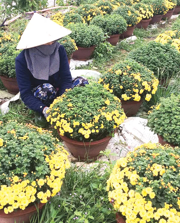 Chạy đua với tết  ảnh 6