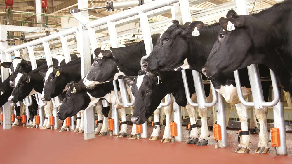 Tiếp sức sáng tạo cho ngành nông nghiệp - Bài 2: Xu hướng và triển vọng ảnh 1