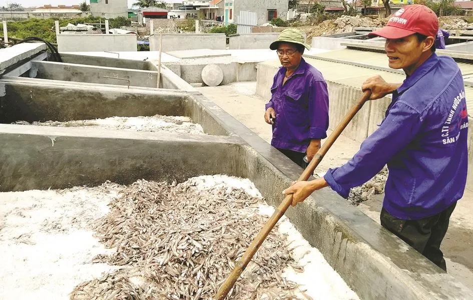 Giọt mặn mòi của biển ảnh 2