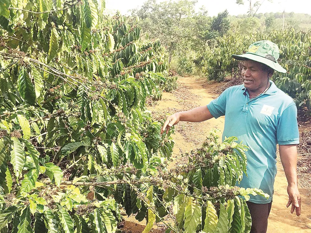 Bình Điền nặng tình với Tây Nguyên ảnh 1