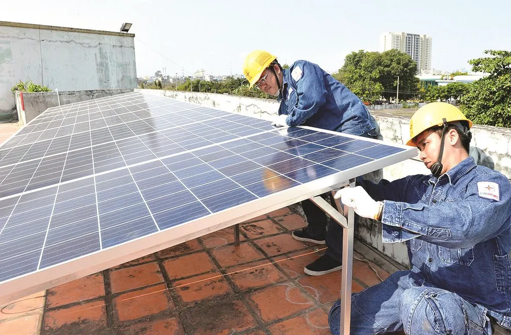 Tình nguyện vì môi trường ảnh 3