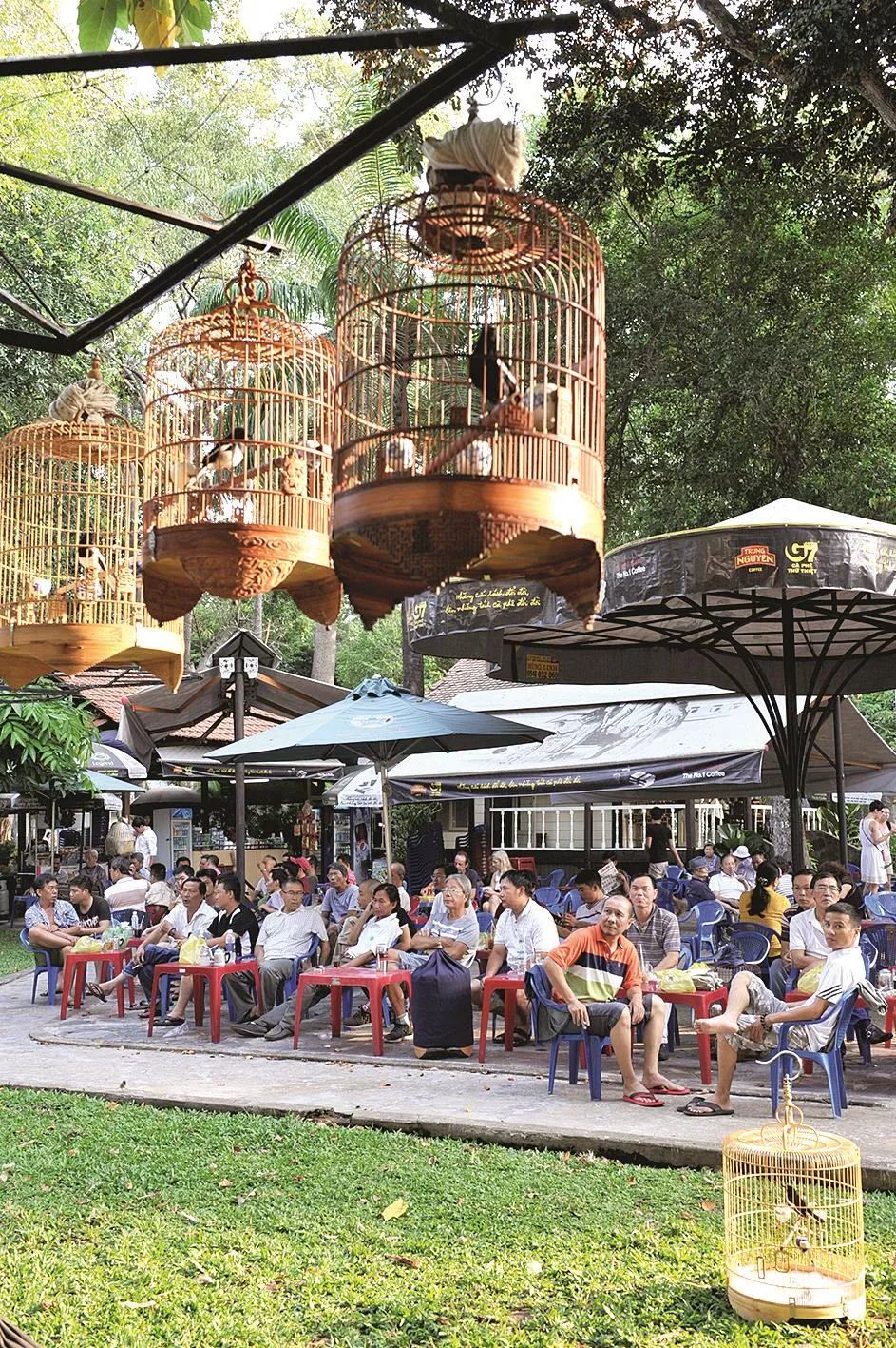 Nhịp sống Thành phố ảnh 2